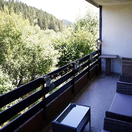 I Pool I Sauna I Golf I I Parkplaetze * Winterberg